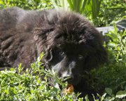 Превью фото № 186707