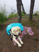 Превью фото № 186715