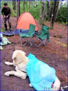 Превью фото № 186718