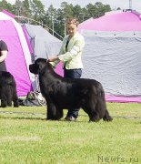 Превью фото № 186723