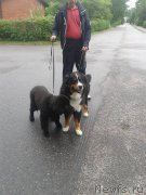 Превью фото № 186734