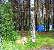 Превью фото № 186738