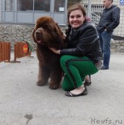 Превью фото № 186864