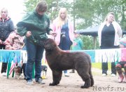 Превью фото № 186870