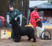 Превью фото № 186871