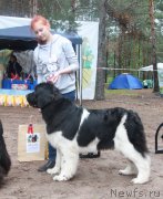 Превью фото № 186872