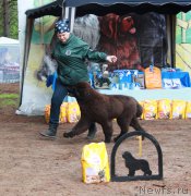 Превью фото № 186877