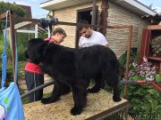 Превью фото № 186902