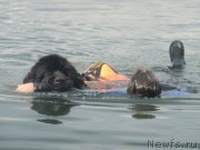 Превью фото № 186988