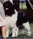 Превью фото № 1870