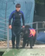 Превью фото № 187055