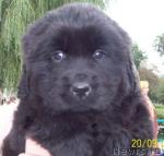 Превью фото № 18709