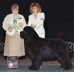 Превью фото № 1871