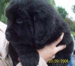 Превью фото № 18710