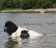 Превью фото № 187151