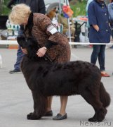 Превью фото № 187167