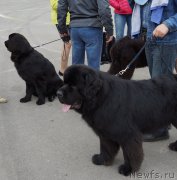 Превью фото № 187172