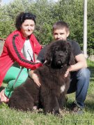 Превью фото № 187183