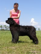 Превью фото № 187196