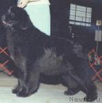 Превью фото № 1872