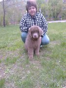 Превью фото № 187200