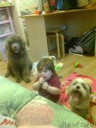 Превью фото № 187205