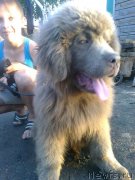 Превью фото № 187207