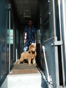 Превью фото № 187213