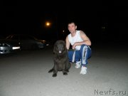 Превью фото № 187220