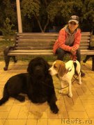 Превью фото № 187299