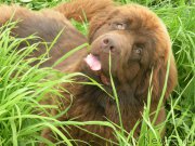 Превью фото № 187352