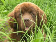 Превью фото № 187354