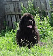 Превью фото № 187421