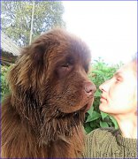 Превью фото № 187436