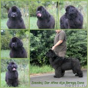 Превью фото № 187451