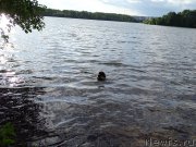 Превью фото № 187478