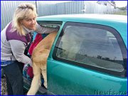 Превью фото № 187526