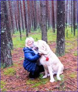 Превью фото № 187536