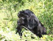 Превью фото № 187556