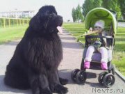 Превью фото № 187578