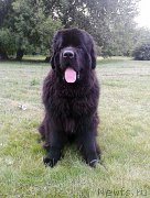 Превью фото № 187606