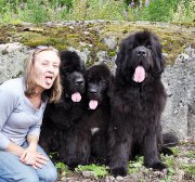 Превью фото № 187608