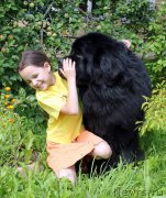 Превью фото № 187634