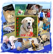 Превью фото № 187684