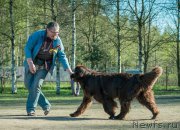 Превью фото № 187731