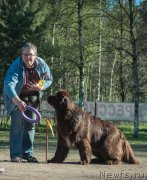 Превью фото № 187736