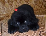 Превью фото № 187763