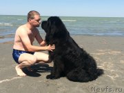 Превью фото № 187775