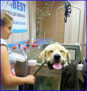 Превью фото № 187811