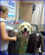 Превью фото № 187812